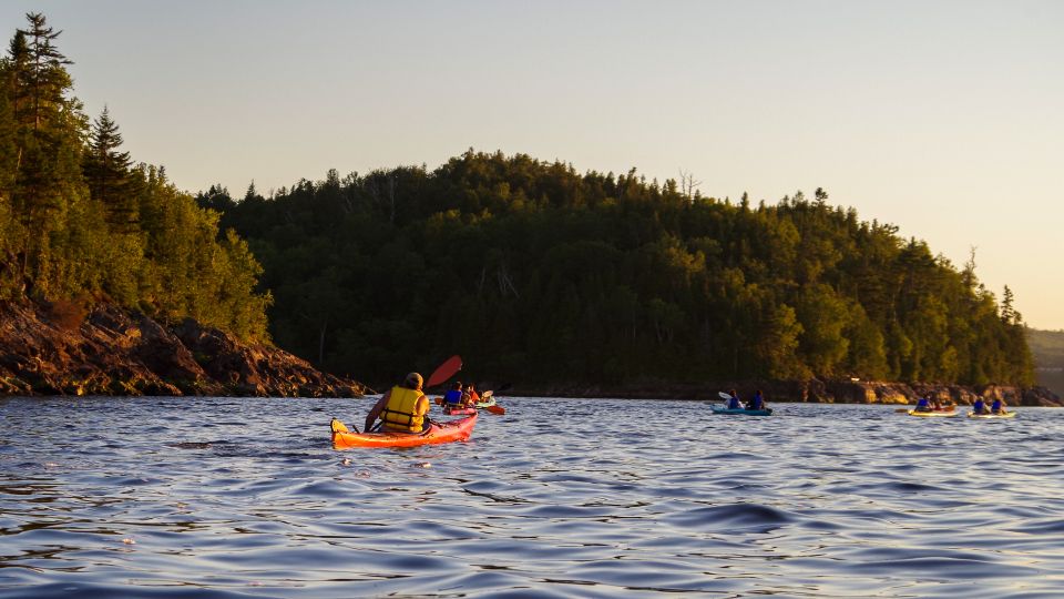 Saint John River: River Relics Kayak Tour - Duration and Flexibility