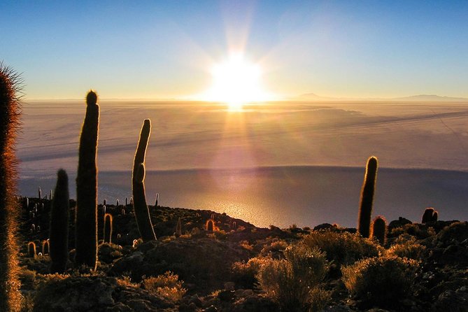 Salar De Uyuni (1Day) - Spanish Speaking Guide - Last Words