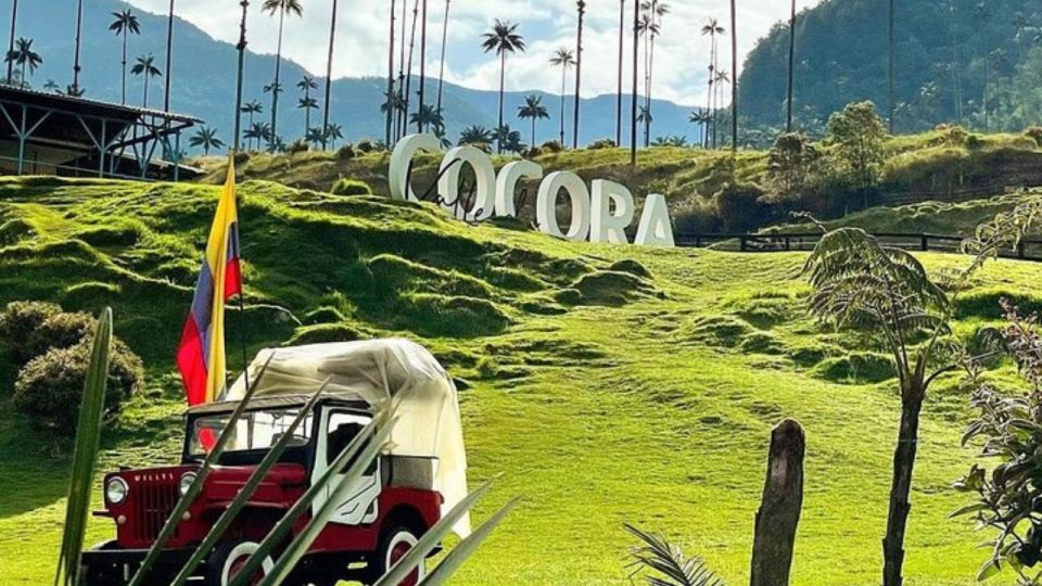 Salento and Cocora Valley Full Plan From Pereira or Armenia - Transport and Guide Information