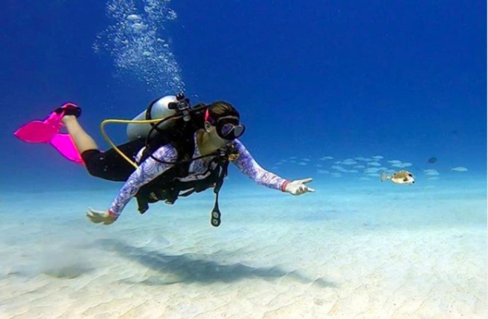 San Andres: SCUBA Diving Experience With Hotel Pickup - Location and Details