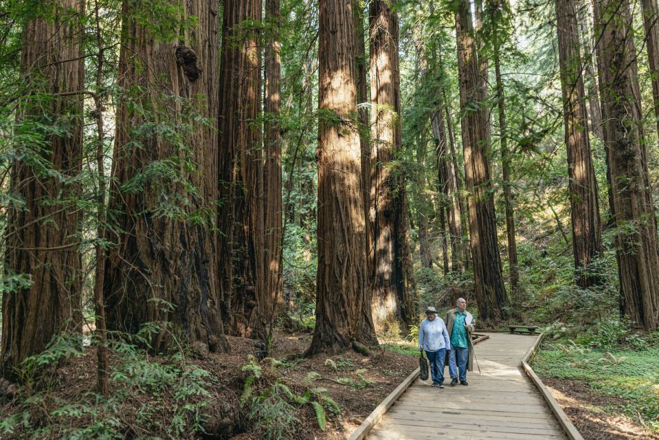 San Francisco: Muir Woods, Sausalito and SF Bay Cruise - Customer Testimonials