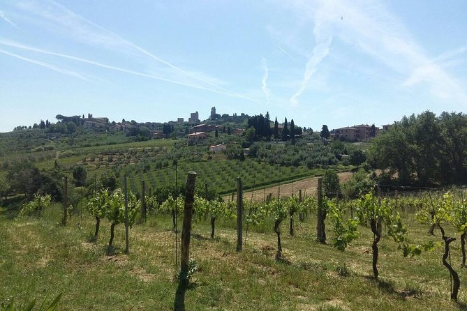 San Gimignano, Saffron and Vernaccia Wine From Florence - Historic Villages With Private Driver