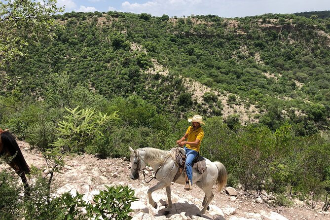San Miguel De Allende Private Horseback Riding Tour - Reviews and Feedback