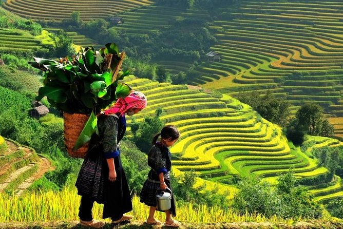 Sapa 2 Days 1 Night From Hanoi - Overnight in Hotel - Cancellation Policy, Traveler Photos, Reviews