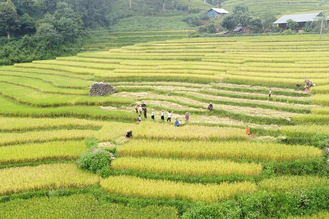 Sapa Experience 2 Days 1 Night From Hanoi With Local Guide - Group Size and Pricing Options