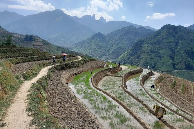 Sapa Private Hike With Excellent Views - Customer Reviews and Ratings