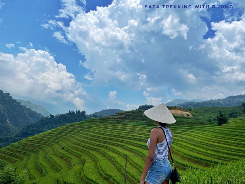 Sapa: Private The Most Beautiful Terraced Fields Trekking - Customer Feedback