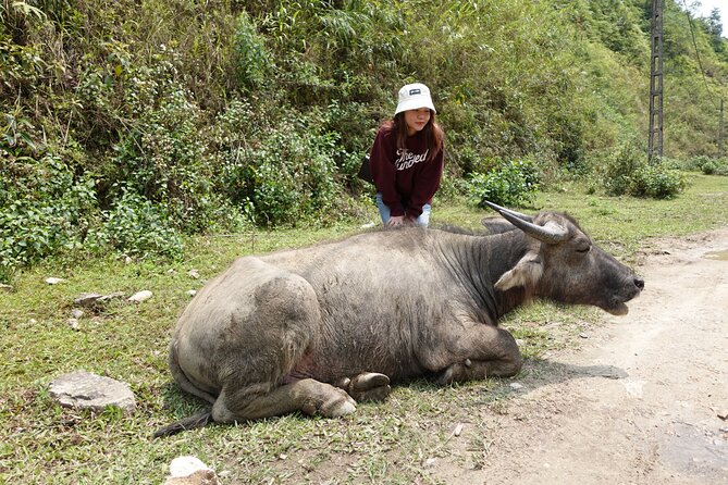 Sapa Valley Trek and Homestay - 3D2N - Meal Inclusions and Dietary Restrictions