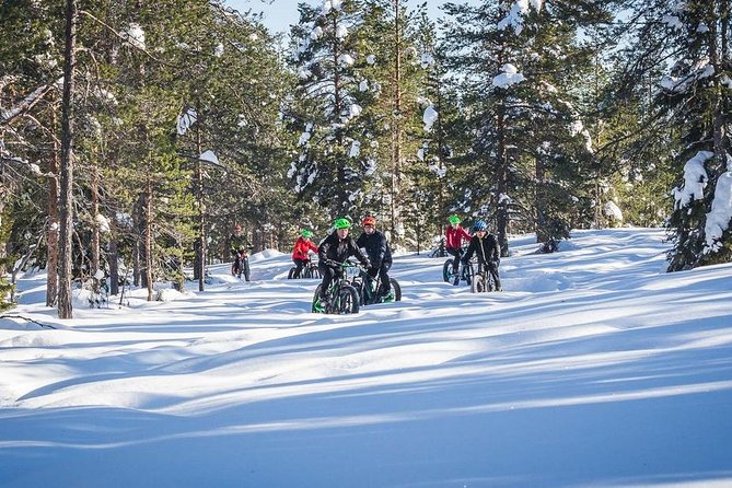 Scenic Electric Fat Bike Group Ride in Rovaniemi - Pricing Details and Offer Information