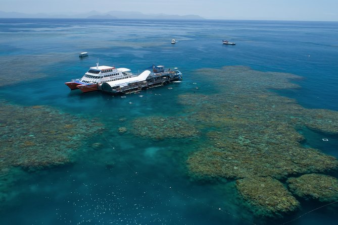 Scenic Helicopter Flight to Moore Reef and Return Snorkeling Cruise From Cairns - Customer Reviews and Ratings