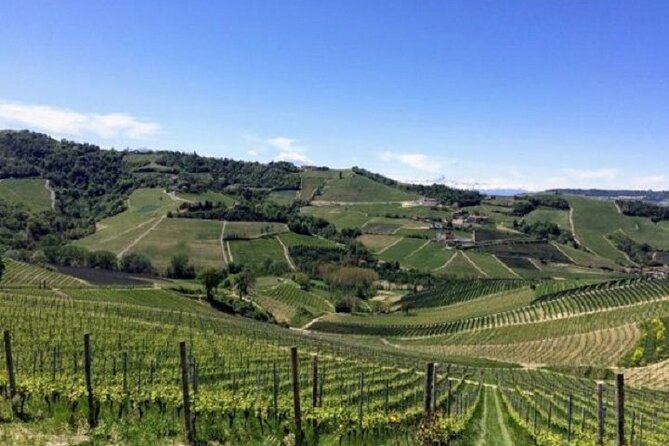 Scenic Langhe Hike and Wine Tasting From Alba  - Langhe-Roero and Monferrato - Customer Reviews