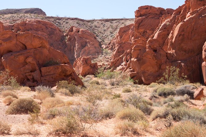 Scenic Valley of Fire 3-Hour ATV or Quad Ride Along Tour - Contact and Booking Details