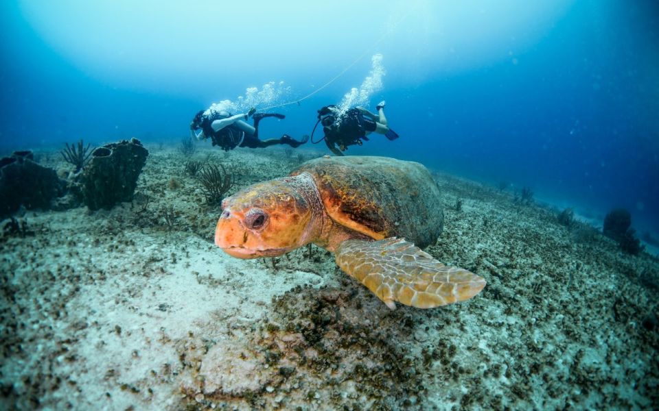 Scuba Certified Diving Immersion at Maroma Beach - Common questions