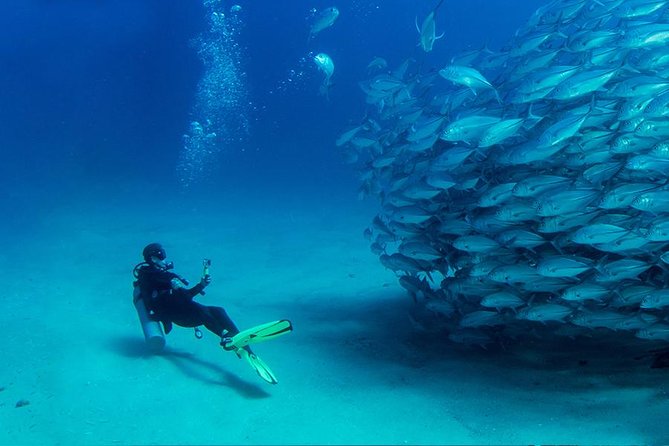 Scuba Diving Full of Adrenaline in Antalya - Traveler Experience and Photos