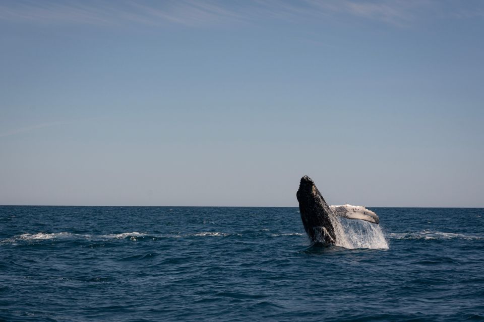 Scuba Diving in a National Marine Park of Cabo Pulmo - Location Information