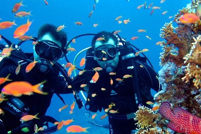 Scuba Diving Tour - Traveler Reviews and Ratings