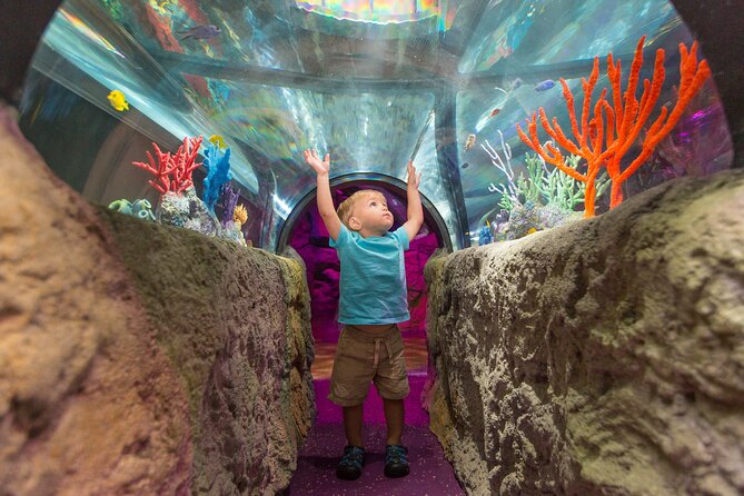 SEA LIFE Aquarium Minnesota Admission Ticket at Mall of America - Additional Tour Details