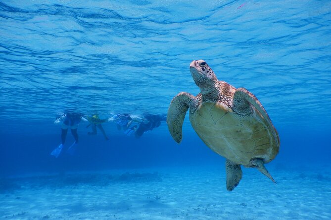 Sea Turtle Snorkel at Kerama Islands and Zamami Island - Directions