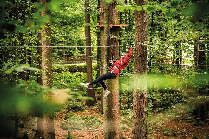 Seilpark High-Ropes Adventure Park Admission in Interlaken (Mar ) - Additional Information