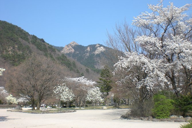 Seoraksan National Park, Temple, Fortress Day Tour From Seoul - Support Contact