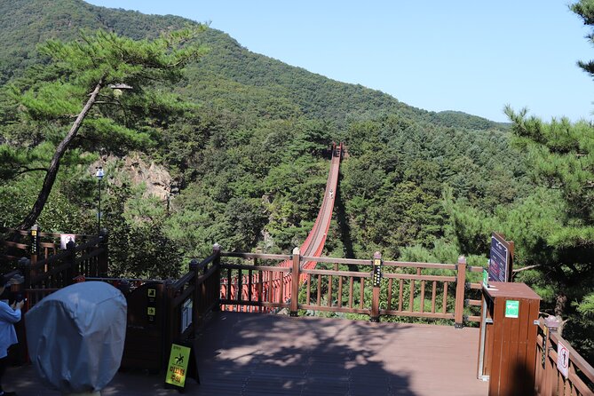 Seoul: South Korea DMZ, Mt. Gamak & Fall Foliage With Lunch - Lunch Inclusion Details