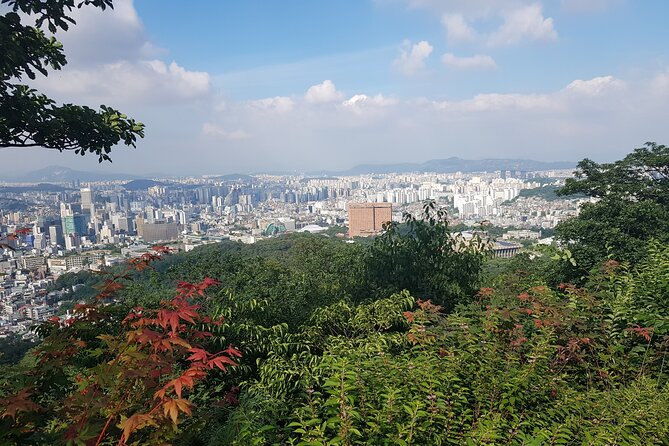 Seoul Tower Walking Tour - Safety Precautions and Recommendations