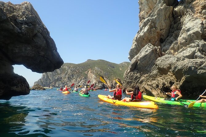 Sesimbra Discovery by Kayak - Price and Inclusions