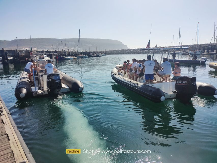 Sesimbra: Dolphin Watching Boat Tour With Biologist Guide - Booking Information
