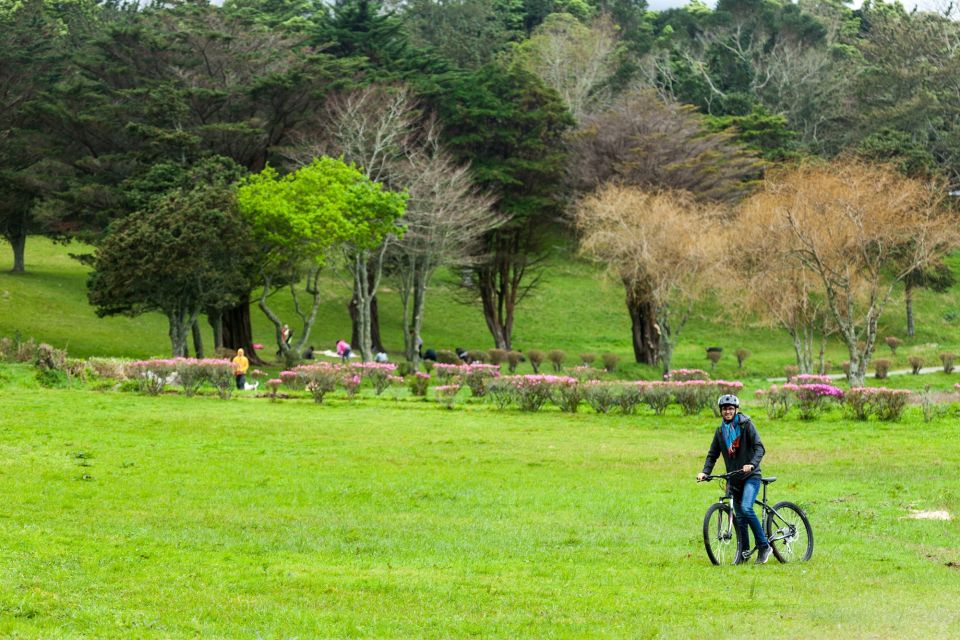 Sete Cidades: Kayaking and Biking Adventure - Location and Booking