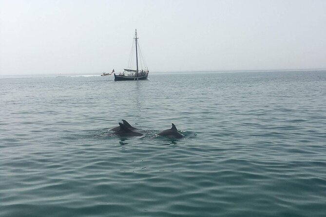 Setubal Portugal Sightseeing Boat Tour With Dolphins  - Setubal District - Additional Information