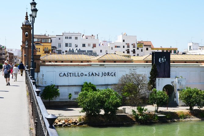 Sevillian Tapas Tasting on a Bicycle (3 Bars-3 Tapas-3 Drinks) - Bar 3: Tapas & Drinks