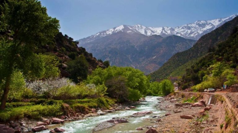 Share Day Trip From Marrakech Atlas Mountains Ourika Valley