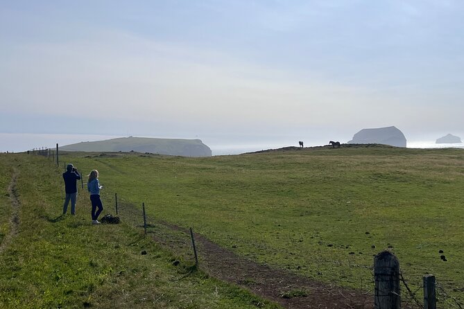 SHARED 2-Hours Drive With a Westman Islands Local in a BMW X5 - Booking Process