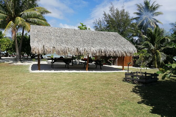 SHARED FULL DAY CULTURAL & LAGOON TOUR - Bora Bora Cultural Lagoon Tour - Customer Testimonials