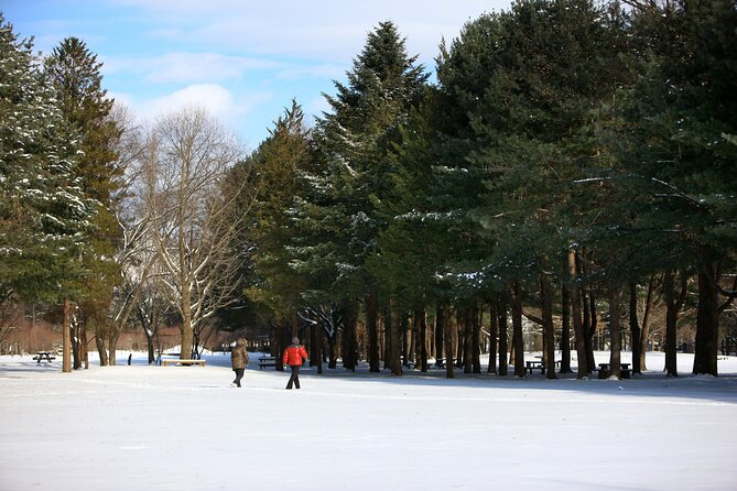 Shared Korean Winter Tour at Nami Island With Professional Guide - Cancellation Policy