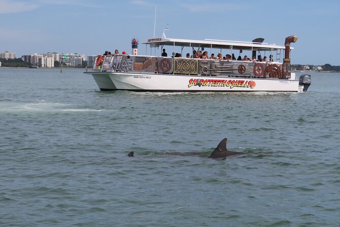 Shark Teeth and Shells, Dolphin and Shelling Tour Boat Clearwater Beach - Weather Considerations