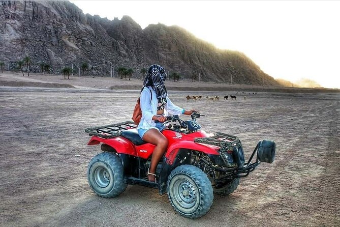 Sharm El Sheikh Super Safari 5*1 ATV Quad, Stargazing,Camel Ride,Dinner, Shows - Guest Feedback and Suggestions