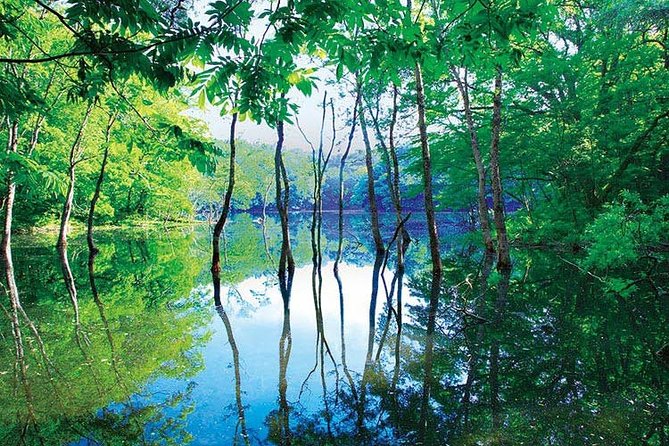 Shirakami-Sanchi: Private Day Hiking Tour - Aomori Prefecture