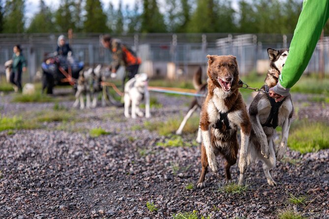 Short Norrbotten County Huskies Visit  - Kiruna - Directions
