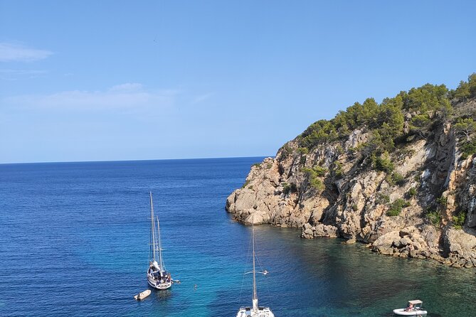 Sightseeing Day Tour Along the East and North Coasts of Ibiza! - Common questions