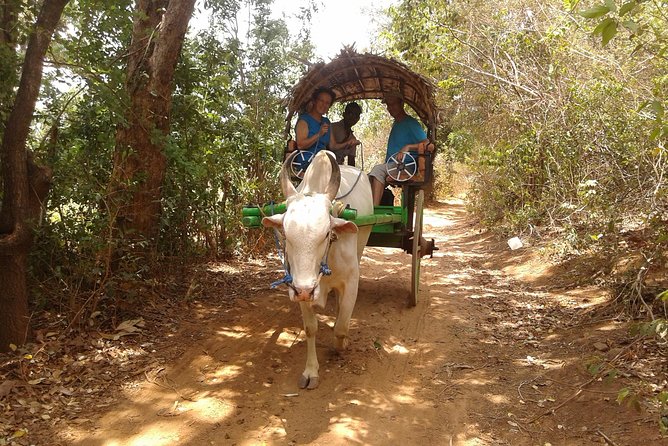 Sigiriya Day Tour - Dambulla Cave Temple - Reviews and Ratings