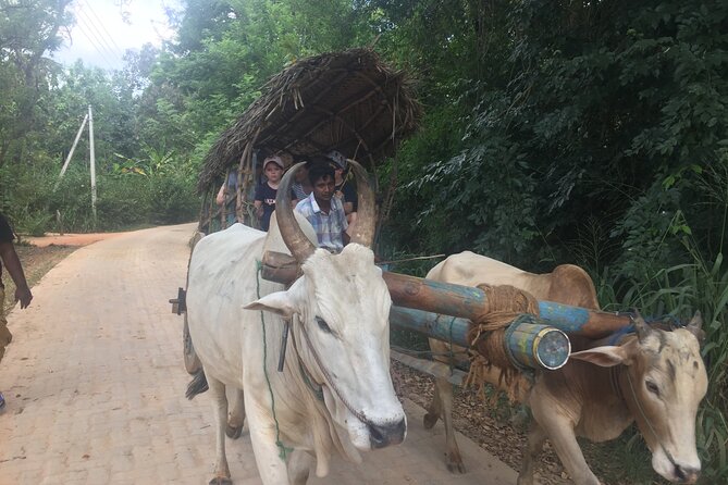 Sigiriya Day Trip With Experts - Travel Directions