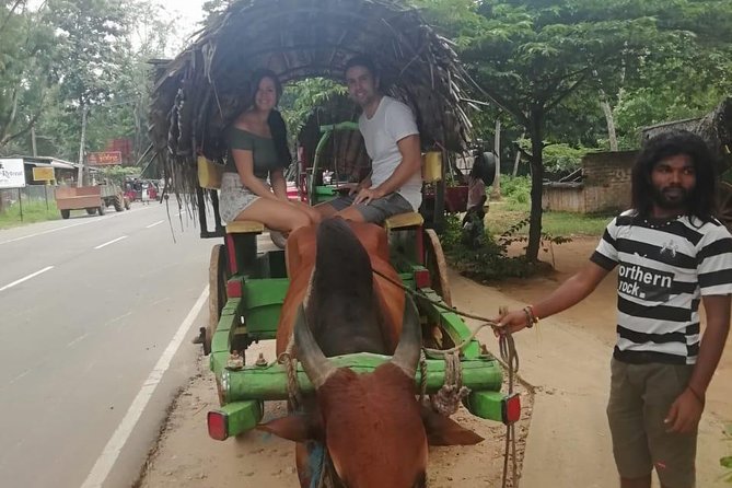 Sigiriya, Traditional Lunch and Cave Temple Private Day Tour All Inclusive - Common questions