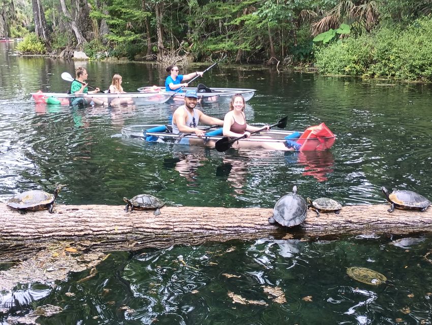 Silver Springs: Manatees and Monkeys Clear Kayak Guided Tour - Directions and Key Information for Visitors