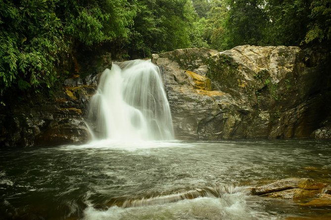 Sinharaja Expedition 3-4 Hours Tour With One Waterfall All Included - Booking Information