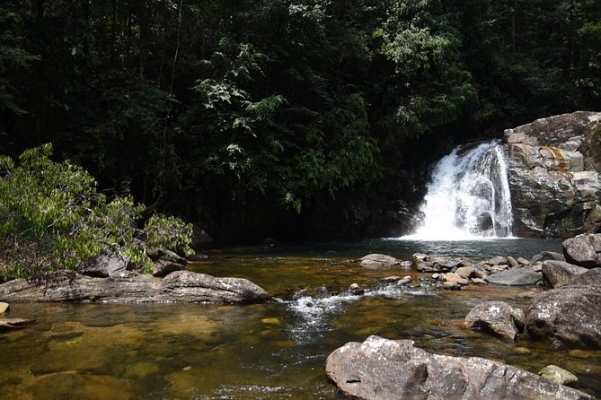 Sinharaja Forest Reserve (Sinharaja Rain Forest) Private Tour  - Galle - Operational Details and Policies