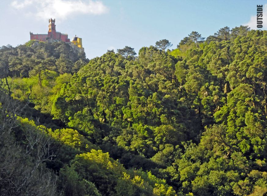 Sintra: 3.5-Hour Rock Climbing Experience - Instructor Information