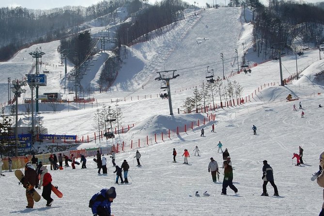 Ski Tour to Jisan Ski Resort From Seoul - Directions to Jisan Ski Resort