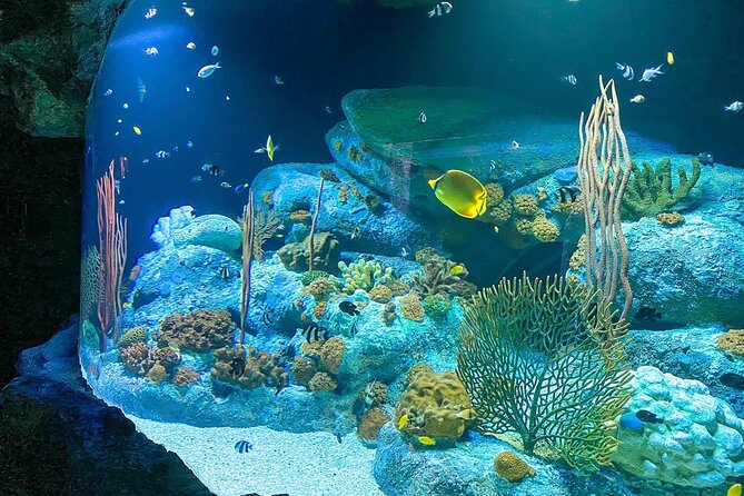 Skip the Line: Pattaya Underwater World - Insider Tips and Accessibility