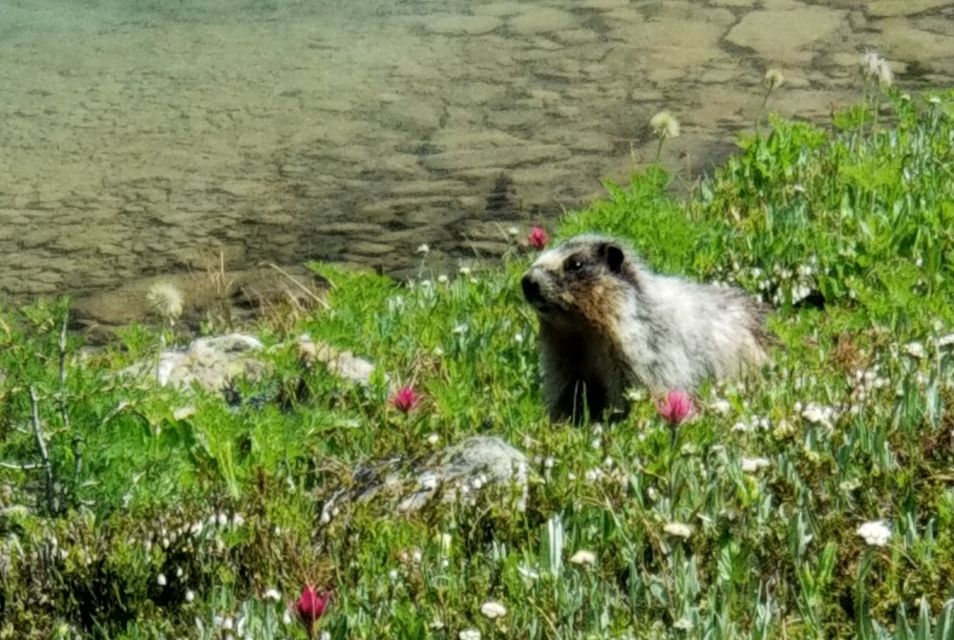 Skoki Lake Louise Daily Guided Hike in the Canadian Rockies - Hiking Itinerary